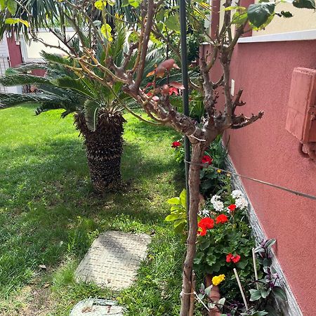 Apartments Villa Stella Maris Rogoznica  Zewnętrze zdjęcie