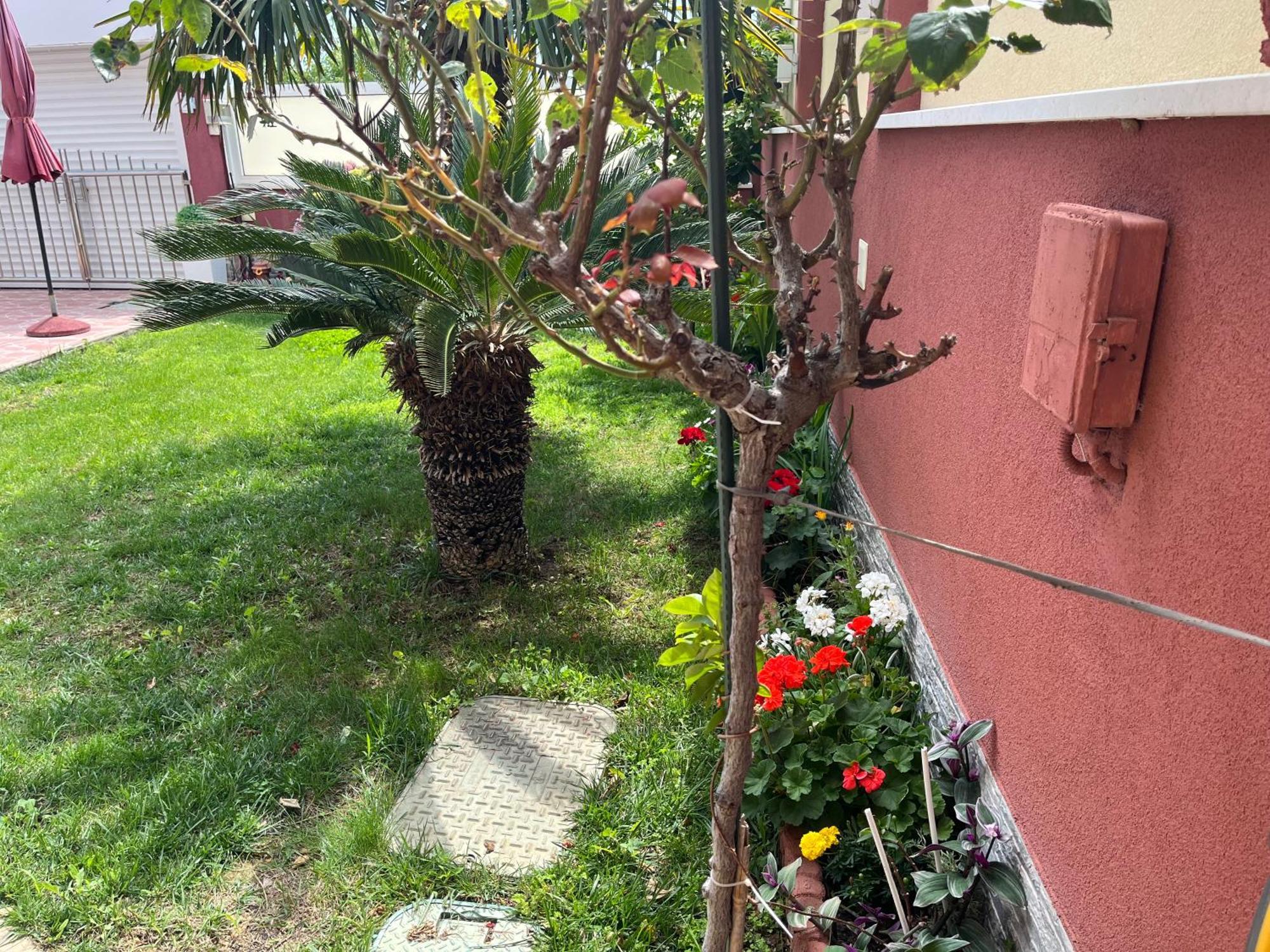 Apartments Villa Stella Maris Rogoznica  Zewnętrze zdjęcie